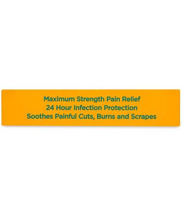 Globe Multi-Action Ointment | Antibiotic & Pain-Relieving Scar Minimizer | Neomycin, Bacitracin, Pramoxine HCl & Polymyxin B | Treats Cuts, Scrapes, Burns | 4 Pack - Buy Online on GoSupps.com