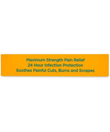 Globe Pain Itch & Scar Antibiotic Ointment (2 Pack) | 1 oz Triple Antibiotic for Cuts Scrapes & Burns Compare to Name Brand - Buy Online on GoSupps.com