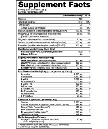 NutraBio Leg Day Intra Carb Supplement - Advanced EAA/BCAA Amino Acid Formula with Electrolytes for Recovery - Cherry Lime Flavor 20 Servings - Buy Online on GoSupps.com