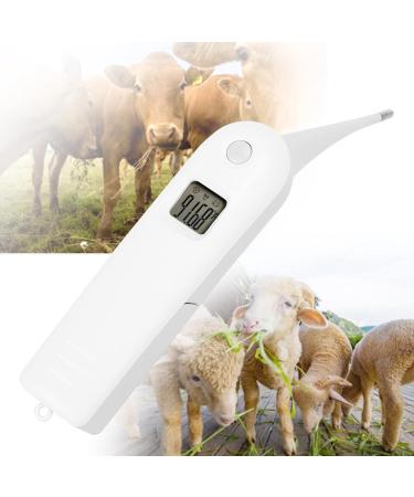 Cat Thermometer Dog Thermometer LCD Display Screen Easy to Read for Sheep for Livestock for Pigs for Cattle - Buy Online on GoSupps.com