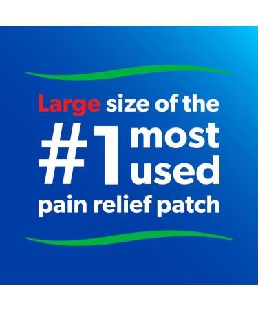 Salonpas 12 Hour Pain Relief Patch (Pack of 1) + Salonpas Pain Relieving Patch - Large (4 count) - Buy Online on GoSupps.com