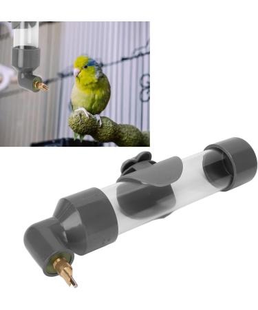 Gloglow Automatic Parrot Drinking Device - Acrylic Bird Bottle for Small to Medium Parrots - Secure & Large Capacity Cage Accessory (Gray) - Buy Online on GoSupps.com