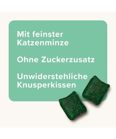 Beaphar Catnip Bits for Cats - Delicious Cat Snacks with Catnip - 150g Pack | International Shipping Available - Buy Online on GoSupps.com