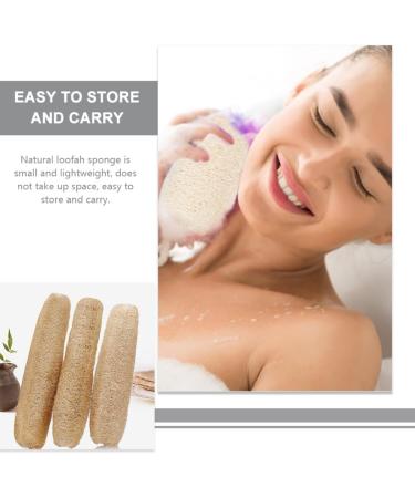 POPETPOP 4pcs Natural Loofah Sponge Set - Exfoliating Shower Scrubber & Eco-Friendly Dish Cleaning Sponge (20-35cm - Buy Online on GoSupps.com