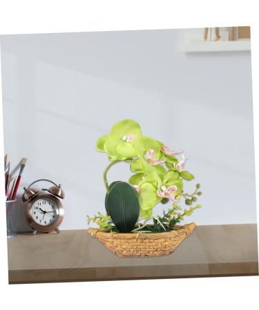 TOPBATHY 3pcs Rn Gift Phalaenopsis Home Accents Decor The Gift Home Forniture Decor Artificial Flower Bonsai Decor for Home Office Decor Garden Simulated Plant Double Fork Fake Orchid Greenx3pcs 27*17.5cmx3pcs - Buy Online on GoSupps.com