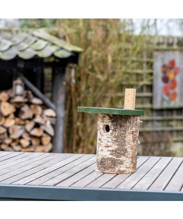 Natural Birch Log Nest Box 32mm Hole - popular with Great Tits Pied Flycatchers Tree Sparrows and House Sparrows - Buy Online on GoSupps.com
