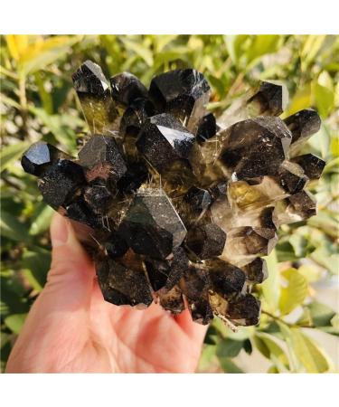 Hot Quartz Cluster Natural Cairngorm s Flowers Smoky Quartz ClusterCan be Used for (Size : 300-400g) JZIGTDEM (Size : 700-800g) - Buy Online on GoSupps.com