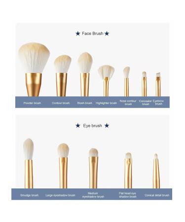 Soft Synthetic Makeup Brush Set (12pcs) - Professional Face & Eye Brushes for Powder Concealers Eyeshadows & Blush - Colorful Collection - Buy Online on GoSupps.com