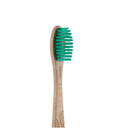 Buy GEORGANICS Natural Beech Bristles Toothbrush - Medium Green | Eco-Friendly Sustainable Oral Care | International Shipping Available - Buy Online on GoSupps.com