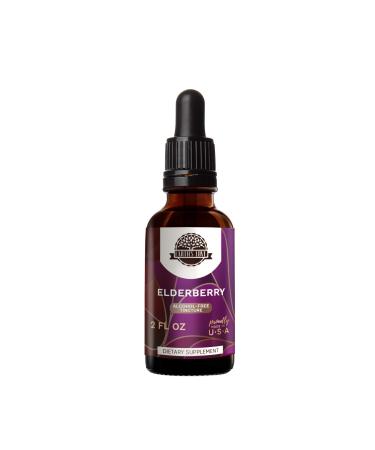 Earth's Love - Elderberry Alcohol-Free Herbal Extract Tincture, Super-Concentrated Elderberry (Sambucus Nigra) Dried Berry (2 Fl Oz) 2 Fl Oz (Pack of 1)