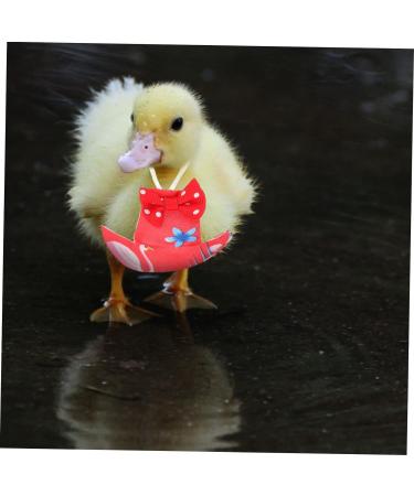 VANZACK 1pc Diaper Hen Halloween Costumes Clothing Girl Dogs Underwear Duck Flight Suit Girl Puppy Clothes Chicken Flight Suit Mamal Chicken Costumes Red Physiological Pants Polyester Pet 22X11X1cm Red - Buy Online on GoSupps.com