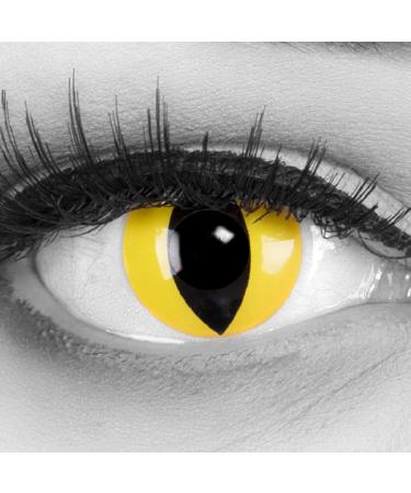 Meralens soft 12 month lenses Cat Eye without prescription with container 1 pair (1 x 2 pieces) 2 pieces (1 pack)