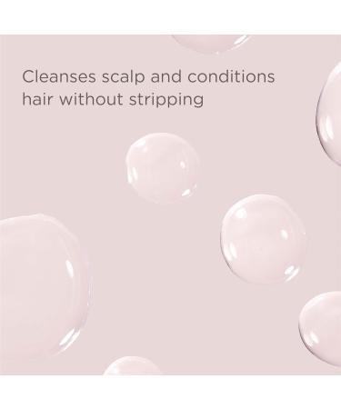 Lazy Day Dry Shampoo | Translucent Volumizing & Oil-Absorbing | Apple Cider Vinegar Rinse & Scalp Scrub - International Shipping Available - Buy Online on GoSupps.com