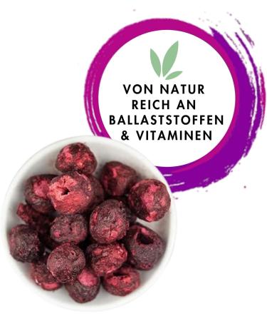  1001 Frucht 1001 Frucht Freezer Dried Sauce Cherries 100g Natural No Added Sugar From Germany Premium Oxygen Cherries Created & Sun Dried Whole Fruits - Buy Online on GoSupps.com
