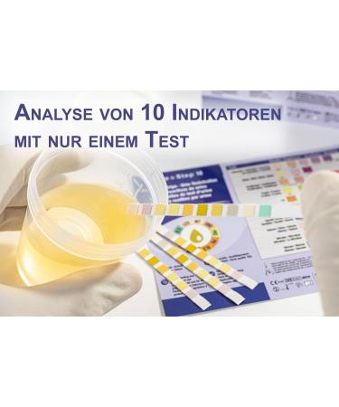 One+Step Urine Test Strips - 10 Health Indicators Test Kit (2 Pieces) for UTI & Urine Analysis - Fast & Accurate Home Testing - Buy Online on GoSupps.com