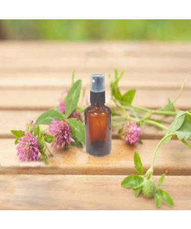 Suxnos 30ml Travel Atomizer Spray Bottle - Glass Perfume Bottles 15pcs Amber Brown Travel Size with Black Lid Portable Perfume Container - Buy Online on GoSupps.com