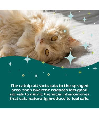 Serene Pheromone + Catnip Calming Spray 60ml | Reduce Stress & Anxiety in Cats | Fast-Acting Solution for Hiding, Scratching & Fighting | Ideal for Home, Travel, Vet Visits, Thunder & Fireworks | 440223 - Buy Online on GoSupps.com