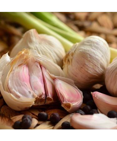 Kamelur Organic Garlic Powder - 200g | Premium Organic Garlic | Eco-Friendly Biodegradable Packaging - Buy Online on GoSupps.com