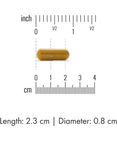 Dr. Mercola Fermented Turmeric 180 Capsules - Premium Natural Anti-Inflammatory Supplement - Buy Online on GoSupps.com