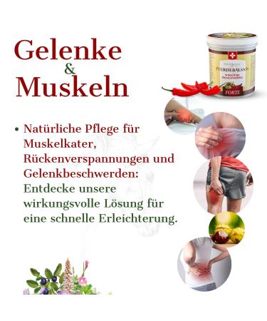 Swissmedicus Horse Balm Massage Gel - 25 Herbal Extracts for Pain Relief | 500ml - Buy Online on GoSupps.com