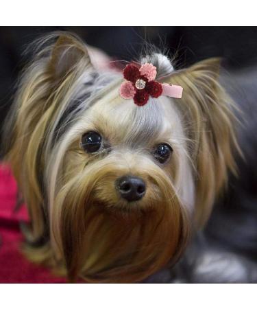 10Pcs Pet Hair Clips - Cute Floral Pet Hairpin Dog Cat Puppy Hair Accessories Pet Grooming Clips Dog Flower Clips - Buy Online on GoSupps.com