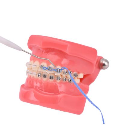 Teeth Power Chains Spool - Elastic Brace Rubber Bands for Orthodontic Ligature Ties - Buy Online on GoSupps.com