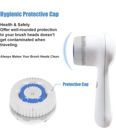 Sierra Clean Teeth Whitening Strips - Sensitivity-Free & Enamel-Safe Whitening Kit for Fast Results - Dentist Recommended for Removing Coffee, Tea, and Smoking Stains - Non-Toxic Formula - Buy Online on GoSupps.com