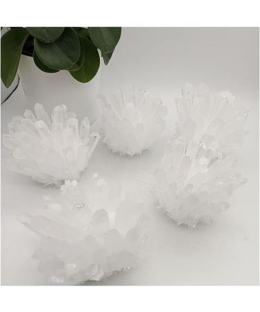 Natural Crystal Rough 270-330g 1pc Natural White Quartz Crystal Cluster Specimen Decoration - Buy Online on GoSupps.com