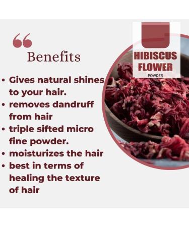 Hibiscus + Amla Powders Combo 100% Natural for Hair & Growth (2 Pouches 175gm each) - Buy Online on GoSupps.com