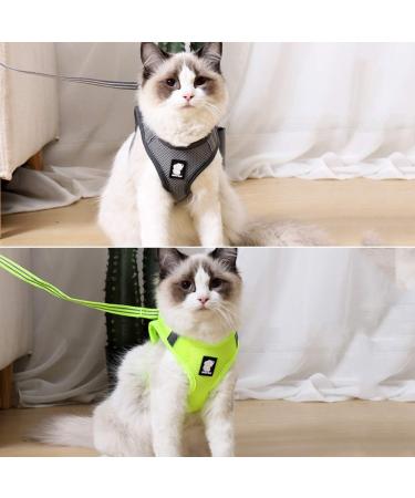 Premium Cat Dishes & Harness Set for Outdoor Walking | Cat Leash & Feeding Solutions - Buy Online on GoSupps.com