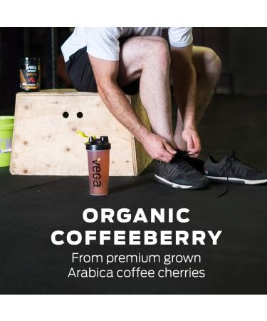 Vega Sport Sugar Free Pre-Workout Energizer Berry (40 Servings) Vegan Preworkout Energy Powder Gluten Free 100mg Caffeine Non GMO 128 g (Packaging May Vary) Berry (Sugar Free) 40 Servings (Pack of 1) - Buy Online on GoSupps.com