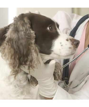 Adenna Platinum 5.5 mil Latex Powder Free Exam Gloves - White, Medium (Box of 100) - Buy Online on GoSupps.com