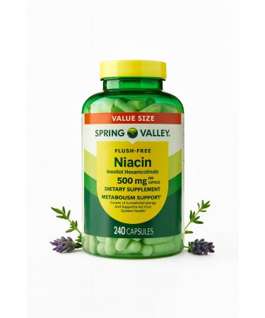 Spring Valley Vitamin B3 Niacin 500 mg Flush Free Capsules (Vitamin B3) Metabolism Support Gluten Free (240 Pills) 240 Count (Pack of 1)