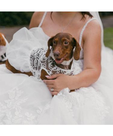 Luxury Fladorepet Hollow Dog Wedding Dress Tutu Rock - Pearl Loop Christmas Costume for Small Dogs - Size M White - Buy Online on GoSupps.com
