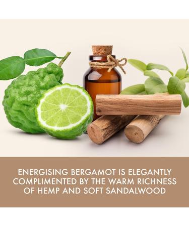 Baylis & Harding Fuzzy Duck Bergamot Hemp & Sandalwood Men's Grooming Gift Set - Vegan Friendly - Buy Online on GoSupps.com