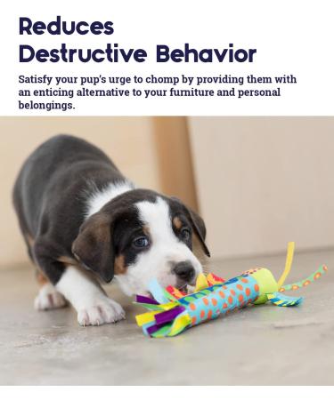 Petstages Dental and Teething Dog Chew Toys - Teething Stick - Buy Online on GoSupps.com