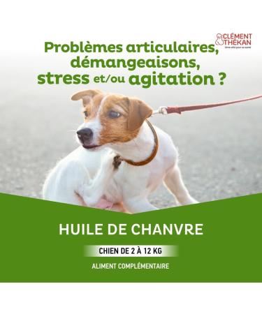 Cl ment Th kan - Hemp Oil for Dogs from 2 to 12 kg - Full Spectrum: CBD + CBDA + Terpenes - 45 Capsules - Buy Online on GoSupps.com