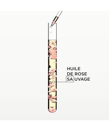 KERASTASE Gloss Absolu - Glaze Drops - Huile Cheveux L g re de Brillance - Adoucit & Discipline - 96H Ultra-Glossy - Huile de Rose Sauvage - Sans Fini Gras - Cheveux Longs Sujets aux Frisottis - 45 ml - Buy Online on GoSupps.com