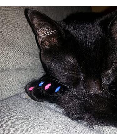 Purrdy Paws 40-Pack Glow-in-The-Dark Soft Nail Caps for Cats - Medium Size - Buy Online on GoSupps.com
