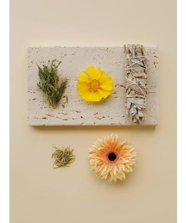 Sioris Calm Me Down Cream 50ml - Moisturizing Daily Cream for All Skin Types | Korean Skincare to Smooth & Refine Texture - Buy Online on GoSupps.com