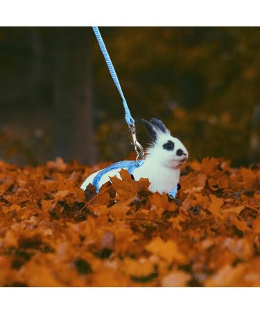 POPETPOP Rabbit Harness and Leash Adjustable Bunny Leash Pet Walking Running Leash for Bunny Cat Kitten Ferret and Other Small Animals - Blue - Buy Online on GoSupps.com