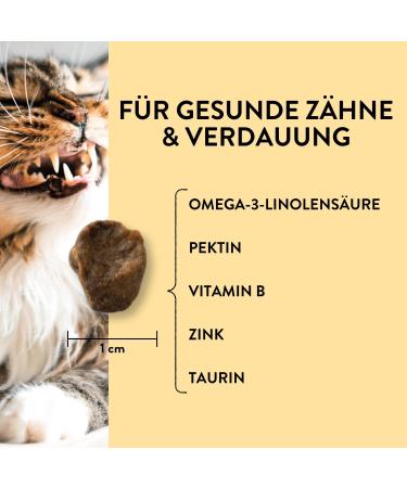 Puja Cat Snack - 100% Natural Dental Treats for Cats | Fresh Breath Healthy Teeth & Digestion | Chicken & Brown Algae | 150g Monthly Ration - Buy Online on GoSupps.com