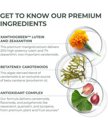 Primal Harvest Primal Vision with Lutein Zeaxanthin Vitamin A and Zinc for Eye Health Blue Light Support and Visual Clarity - Buy Online on GoSupps.com