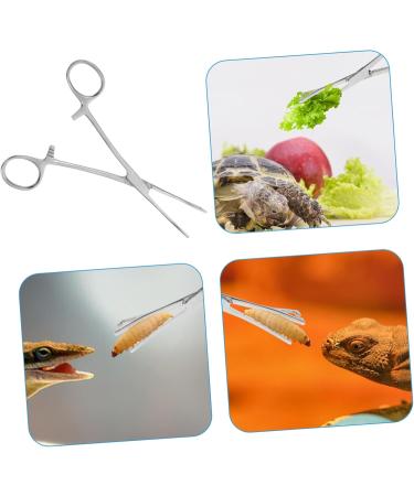COLLBATH Reptile Feeding Clip Bearded Dragon Feeding Tongs Snake Tong Stainless Steel Silver - Buy Online on GoSupps.com