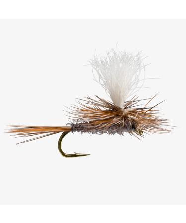 Parachute Adams Dry Fly 6 Pack #14 - 6 Pack