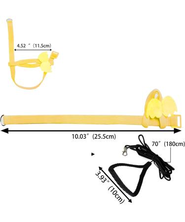 Adjustable Pet Parrot Bird Dishes & Leash | Anti-Bite Design & Nylon Rope for Alexandrin Scarlet Red & Keck Birds - Buy Online on GoSupps.com