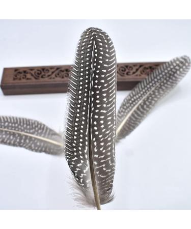Flying Feathers Natural Pheasant Feathers 4 Style 15-20cm 12pcs for DIY Craft and Party Decor FF03 - Buy Online on GoSupps.com