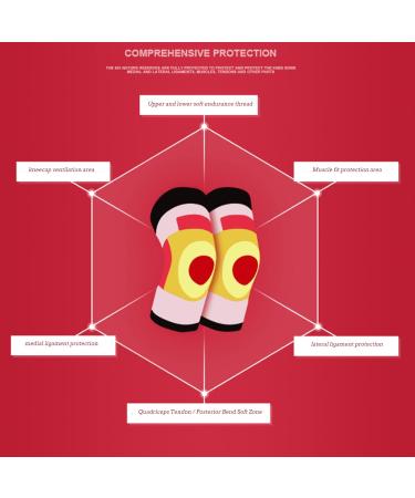 Shop Compression Stockings for Varicose Veins - Open Toe Medium Hose 20-30 mmHg - Comfortable Gradient Compression for Running Cycling Basketball - Flesh & Black Options Available - Buy Online on GoSupps.com
