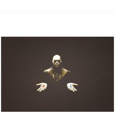 Buy Long Straight Hair Wig for Women - Natural Realistic Fluffy Qi Qi Bangs - Dark & Light Brown Options - International Shipping Available - Buy Online on GoSupps.com