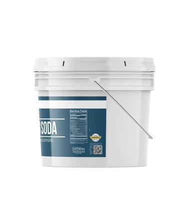 Earthborn Elements Baking Soda (1 Gallon) - Sodium Bicarbonate for Cooking, Cleaning, & Deodorizing - Buy Online on GoSupps.com